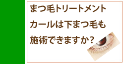 下まつ毛もまつ毛トリートメントカールは出来ますか？