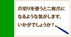 爪切り禁止！