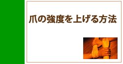 爪の強度を上げる方法