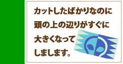 頭の上の辺りがすぐに大きくなってしまいます