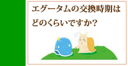 エグータムの交換時期はどのくらいですか？