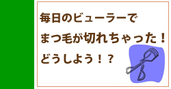 毎日のビューラーでまつ毛が切れちゃった。