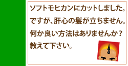 ソフトモヒカンにしたのですが髪が立ちません。