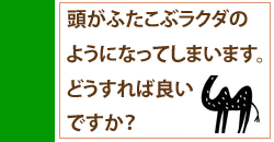 頭がふたこぶラクダになっちゃいます