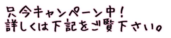 只今キャンペーン開催中です。